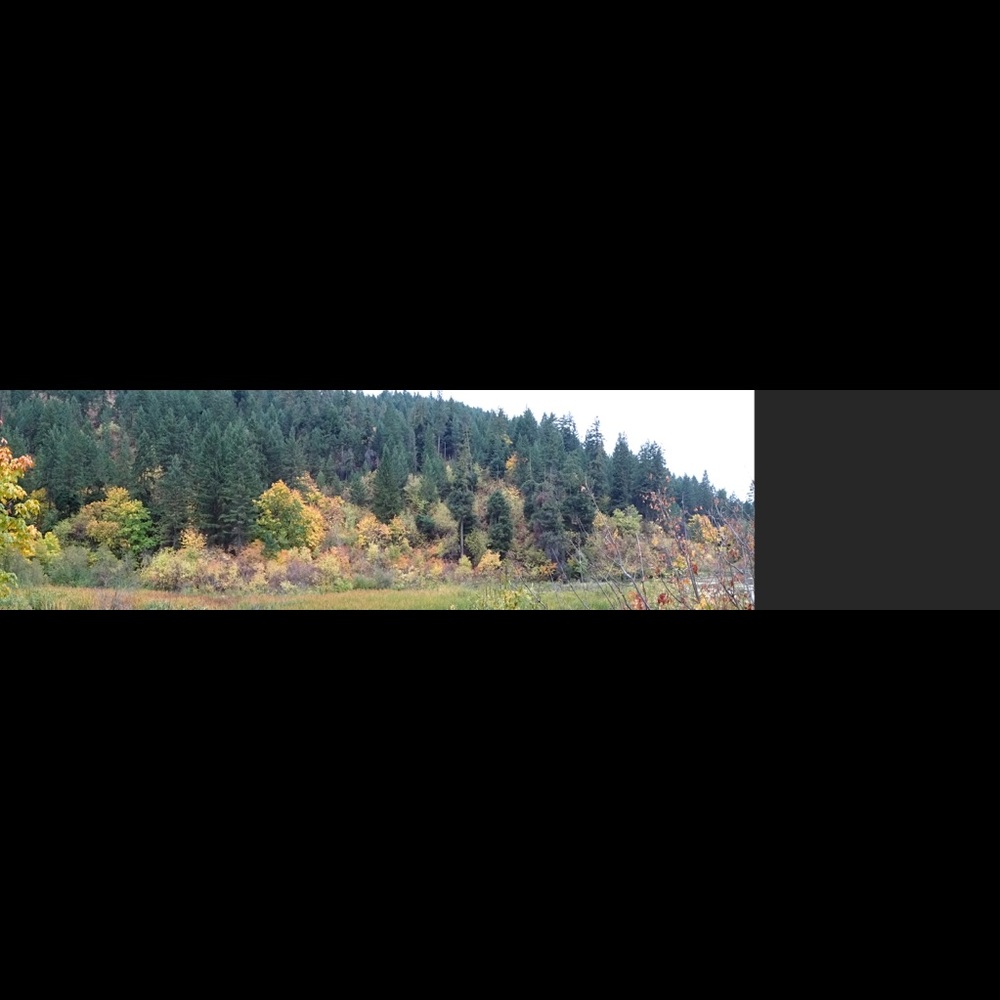 Meet your Posher, Shab